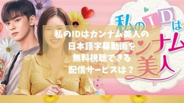私のidはカンナム美人はpandoraで見れる 日本語字幕動画を無料視聴できる配信サービス 韓ドラファンログ 私のidはカンナム美人はpandoraで見れる 日本語字幕動画を無料視聴できる配信サービス 韓ドラファンログ