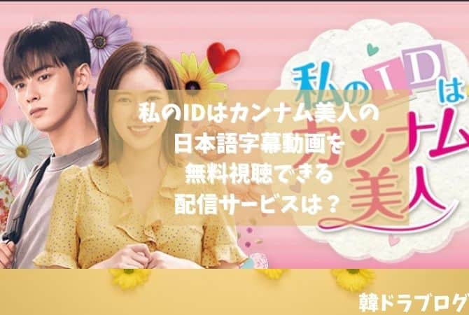 私のIDはカンナム美人の日本語字幕動画を無料視聴できる配信サービスは？