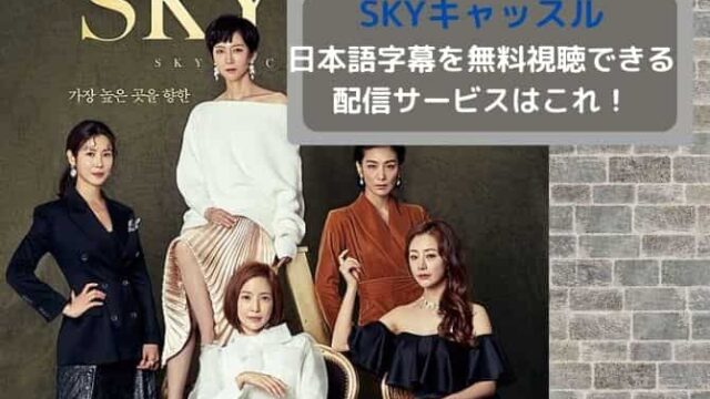 スカイキャッスル Skyキャッスル の吹替え 日本語字幕動画を無料視聴できる配信サービス 韓国ドラマ 韓ドラファンログ