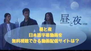 韓国ドラマ｜昼と夜の日本語字幕動画を無料視聴できる配信サービスは？