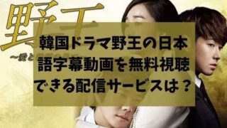 韓国ドラマ｜野王の日本語字幕動画を無料視聴できる配信サービスは？