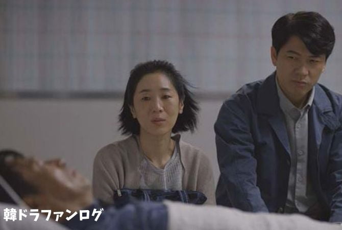 韓国ドラマ ファイティンガールの日本語字幕動画を無料視聴できる配信サービス 韓ドラファンログ