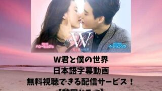 韓国ドラマ｜W君と僕の世界の日本語字幕動画を無料視聴できる配信サービス！