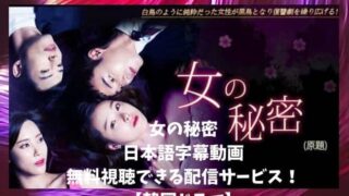 韓国ドラマ｜女の秘密の日本語字幕動画を無料視聴できる配信サービス！
