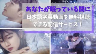 あなたが眠っている間にの日本語字幕動画を無料視聴できる配信サービス｜韓国ドラマ