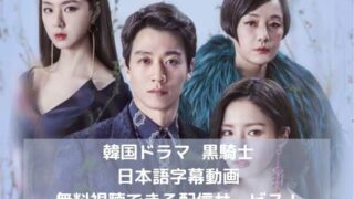 韓国ドラマ｜黒騎士の日本語字幕動画を無料視聴できる配信サービス！