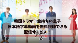 韓国ドラマ｜金持ちの息子の日本語字幕動画を無料視聴できる配信サービス！