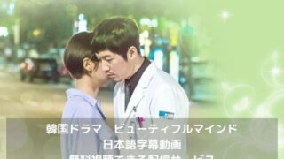 ビューティフルマインドの日本語字幕動画を無料視聴できる配信サービス｜韓国ドラマ