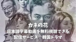 カネの花の日本語字幕動画を無料視聴できる配信サービス｜韓国ドラマ