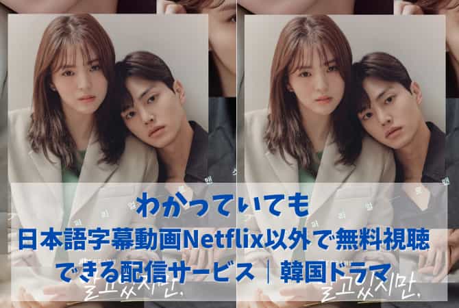 わかっていてもの日本語字幕動画をNetflix以外で無料視聴できる配信サービス｜韓国ドラマ