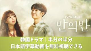 韓国ドラマ｜半分の半分の日本語字幕動画を無料視聴できる配信サービス！DVDは？