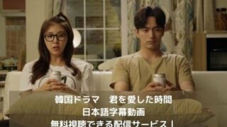 君を愛した時間の日本語字幕動画を無料視聴できる配信サービス｜韓国ドラマ