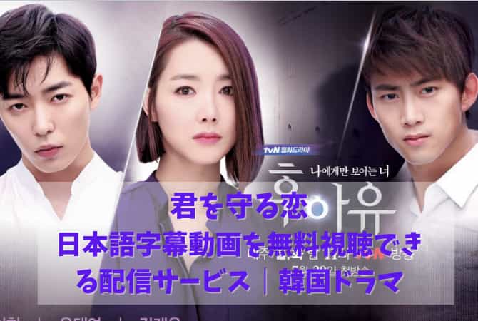 君を守る恋の日本語字幕動画を無料視聴できる配信サービス 韓国ドラマ 韓ドラファンログ
