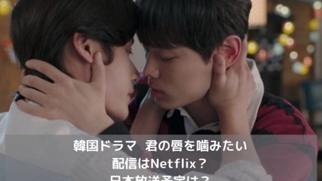 韓国ドラマ｜君の唇を噛みたいの配信はNetflix？日本放送予定は？